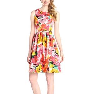 Eliza J Fit and Flare Floral Belted Dress